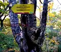 Снимка 3 — Парцел във Видин, с. Чупрене