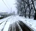 Снимка 4 — Парцел във Видин, с. Капитановци