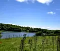 Снимка 3 — Парцел във Враца, с. Костелево