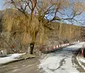 Снимка 3 — Парцел във Враца, с. Лютиброд