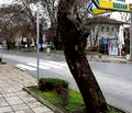 Снимка 5 — Промишлена сграда в Добрич, Шабла