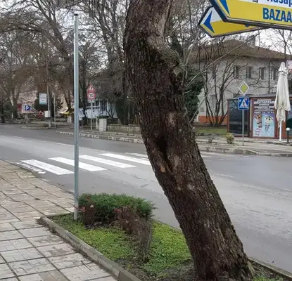 Снимка 5 — Промишлена сграда в Добрич, Шабла