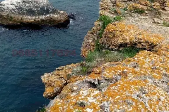 Промишлена сграда в Добрич, Шабла