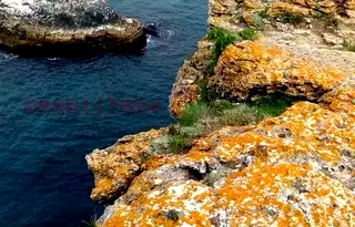 Промишлена сграда в Добрич, Шабла