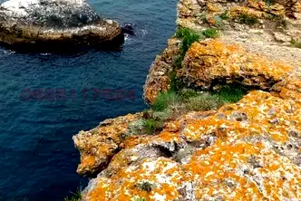 Промишлена сграда в Добрич, Шабла