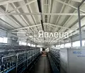 Снимка 2 — Промишлена сграда в Пловдив, Първомай