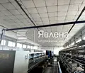 Снимка 4 — Промишлена сграда в Пловдив, Първомай