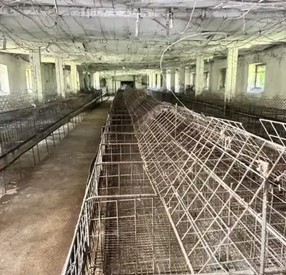 Снимка 4 — Промишлена сграда в Стара Загора, с. Гита