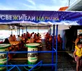 Снимка 4 — Промишлена сграда във Варна, Бяла