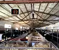 Снимка 4 — Промишлена сграда във Враца, с. Мраморен