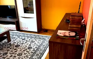 Тристаен апартамент в София, Дружба 1