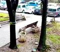 Снимка 4 — Тристаен апартамент с удобна локация в Дружба 1, София
