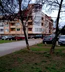 Тристаен апартамент в София, Гео Милев