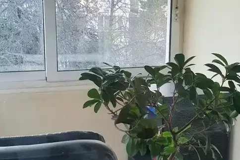 3-bedroom apartment in Sofiya, Goce Delchev
