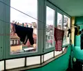 Снимка 2 — Тристаен тухлен апартамент с функционално разпределение до Спортна зала
