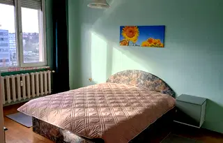 Стая в София, Младост 4