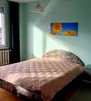 Стая в София, Младост 4
