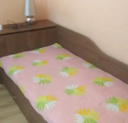 Photo 2 — Room in Sofia, Dyrvenica