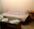 Снимка 3 — Стая в София, Дървеница