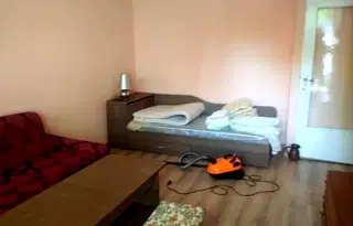 Стая в София, Дървеница