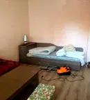 Стая в София, Дървеница
