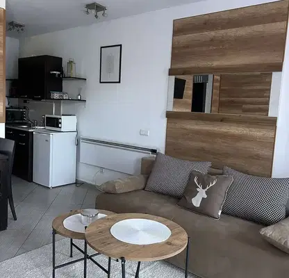 Photo 2 — 1-bedroom apartment in Oblast Blagoevgrad, Bansko