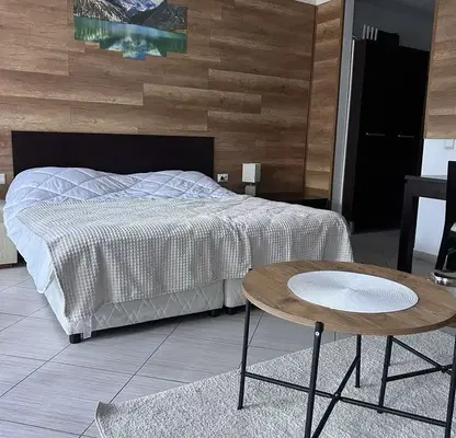 Photo 4 — 1-bedroom apartment in Oblast Blagoevgrad, Bansko