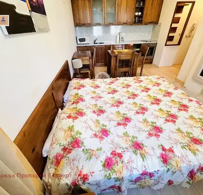 Photo 4 — 1-bedroom apartment in Oblast Blagoevgrad, Bansko