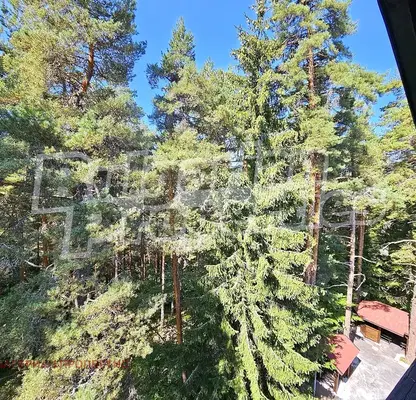 Снимка 5 — апартамент в София, к.к. Боровец