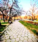 Тристаен апартамент в Кючук Париж с две тераси в Пловдив