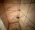 Снимка 5 — апартамент в Перник, Радомир