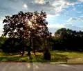 Снимка 4 — Тристаен апартамент във Варна, с. Приселци