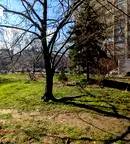 Тристаен апартамент в София, Борово