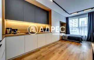 Едностаен апартамент в София, Център
