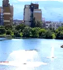 Тристаен апартамент с голяма тераса в Дружба 1, София