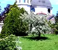 Снимка 4 — Просторен 4-стаен апартамент на последен етаж в Дружба 1, София