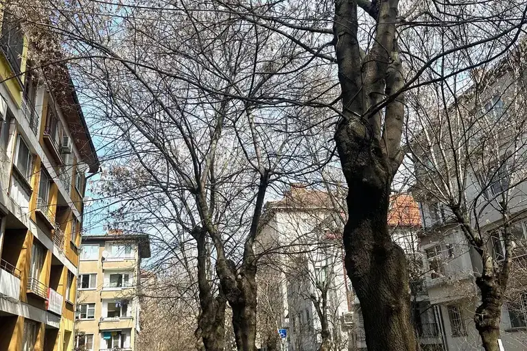 3-bedroom apartment in Sofiya, Oborishte