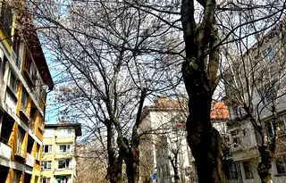 Тристаен апартамент с балкон в Оборище, София