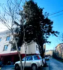 Двустаен апартамент с тераса в Павлово, София
