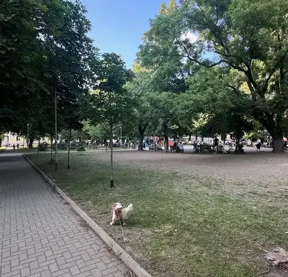 Снимка 2 — Двустаен апартамент с тераса и гледка към Витоша в Сухата река, София