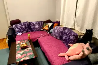 Тристаен апартамент в София, Сухата река