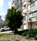 Просторен 2-стаен апартамент в Трошево с две тераси
