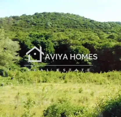 Photo 4 — Plot in Oblast Varna, Aksakovo