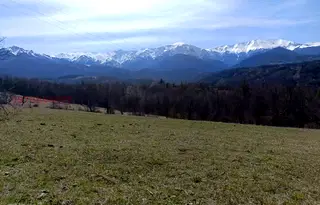 Парцел в Ловеч, Априлци