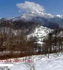 Парцел в Ловеч, Априлци