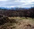 Снимка 3 — Парцел в Ловеч, Априлци