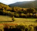 Снимка 5 — Парцел в Ловеч, Априлци