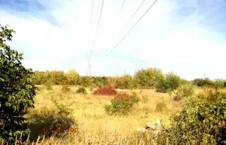 Парцел в Пловдив, Асенов