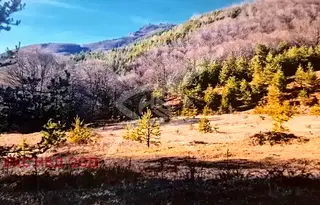 Парцел в Пловдив, Асенов