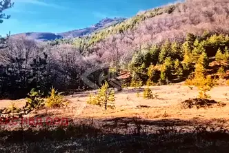Парцел в Пловдив, Асенов